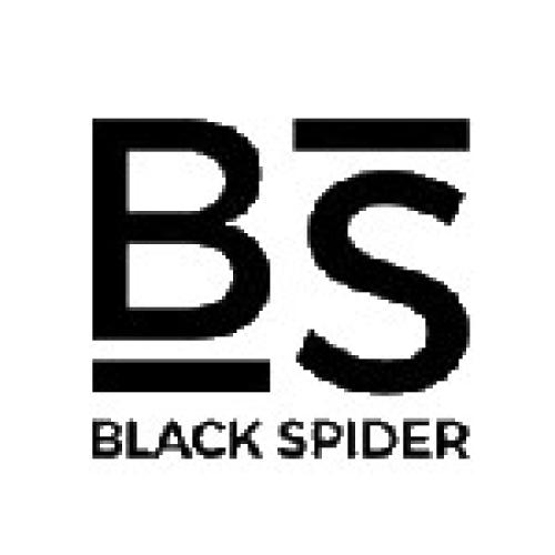 BLACK SPIDER